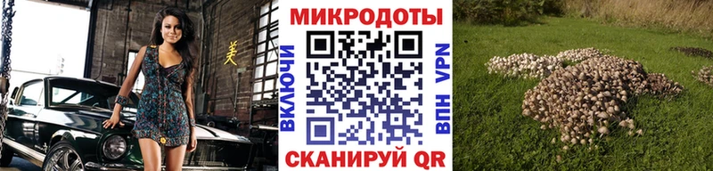 закладка  Руза  Галлюциногенные грибы мицелий 